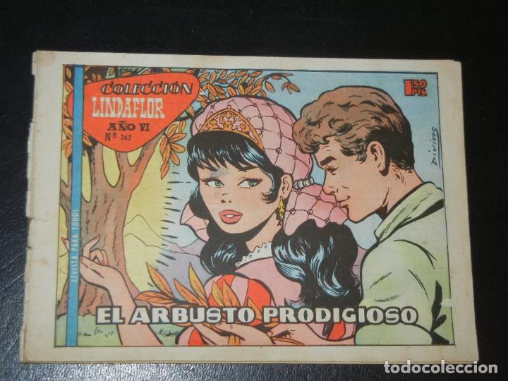 Tebeos: LINDAFLOR NUM.262 - EL ARBUSTO PRODIGIOSO - Foto 1
