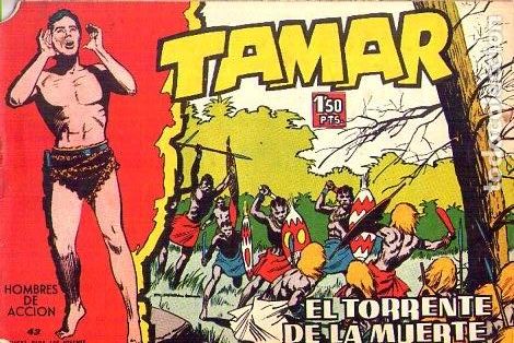 Tebeos: Tamar (Toray) N&ordm; 43 - Foto 1