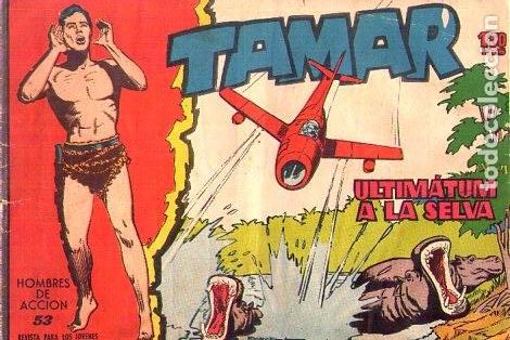 Tebeos: Tamar (Toray) N&ordm; 53 - Foto 1