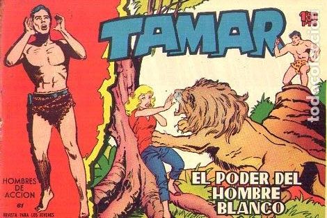 Tebeos: Tamar (Toray) N&ordm; 61 - Foto 1