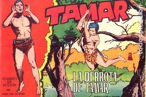 Tebeos: Tamar (Toray) N&ordm; 111 - Foto 1