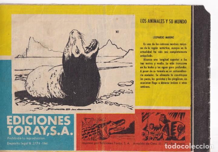 Tebeos: TAMAR: NUMERO 101 LA BATALLA DE LA JUNGLA, EDITORIAL TORAY - Foto 2