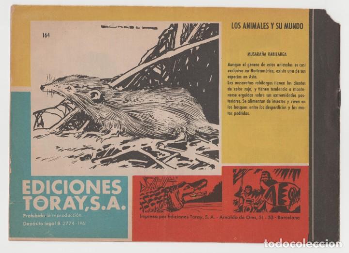 Tebeos: TAMAR N&ordm; 164 (EDITORIAL TORAY) - Foto 2