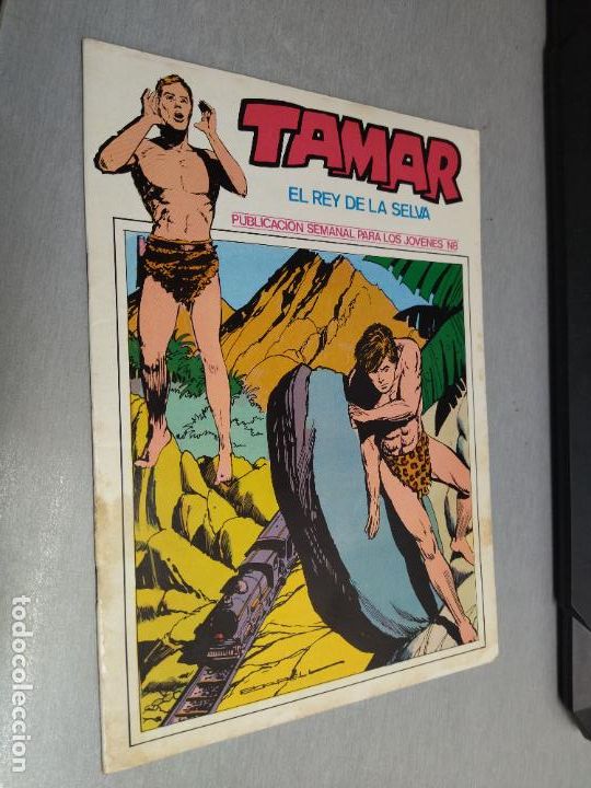 Tebeos: TAMAR EL REY DE LA SELVA N&ordm; 8 / TORAY - Foto 1