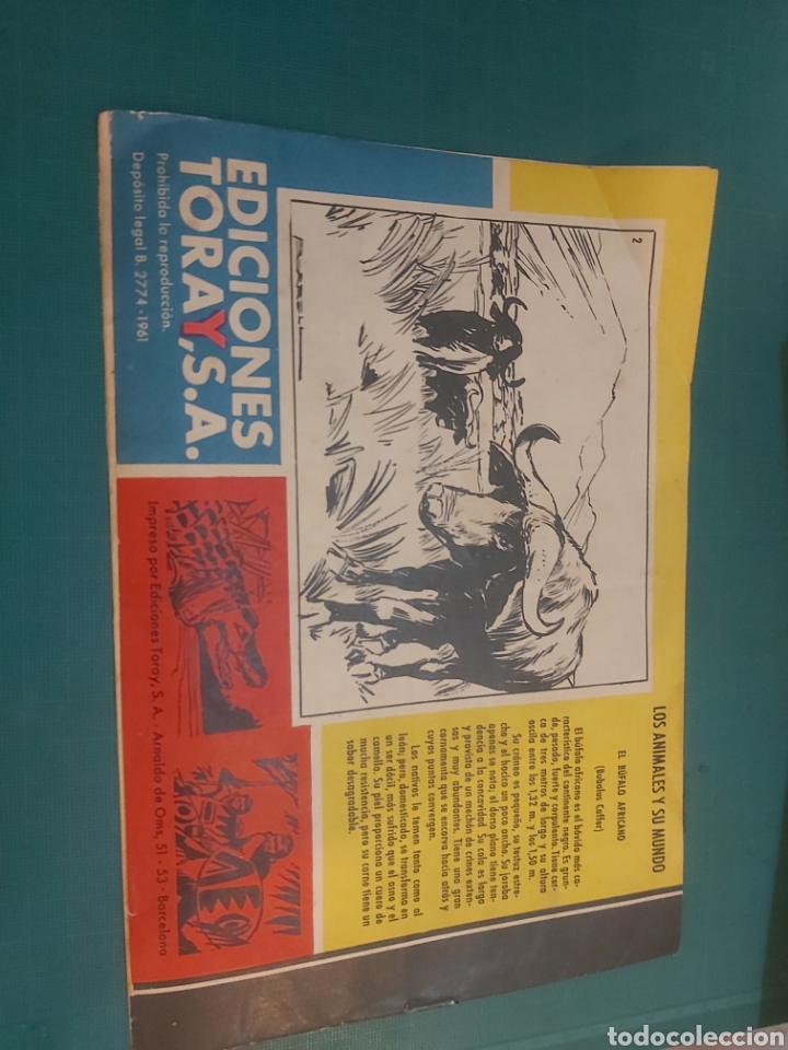 Tebeos: Tamar ca&iacute;dos en la trampa n&uacute;mero 2 ediciones toray 1961 - Foto 2