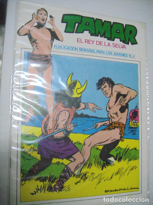 Tebeos: TAMAR - VARIOS N&Uacute;MEROS - TORAY - Foto 2