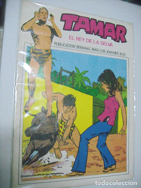 Tebeos: TAMAR - VARIOS N&Uacute;MEROS - TORAY - Foto 1