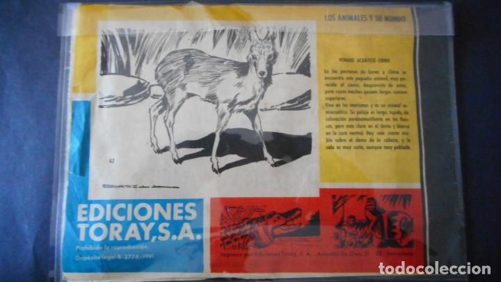 Tebeos: TAMAR N&ordm; 63 / CLAS - Foto 2