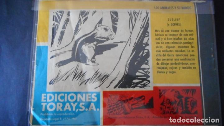 Tebeos: TAMAR N&ordm; 61 / CLAS - Foto 2