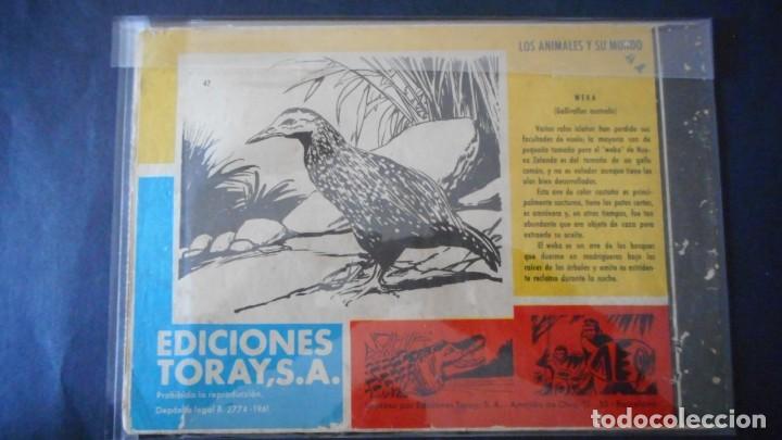 Tebeos: TAMAR N&ordm; 47 / CLAS - Foto 2