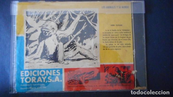 Tebeos: TAMAR N&ordm; 53 / CLAS - Foto 2