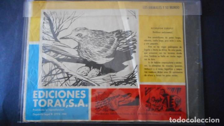 Tebeos: TAMAR N&ordm; 50 / CLAS - Foto 2