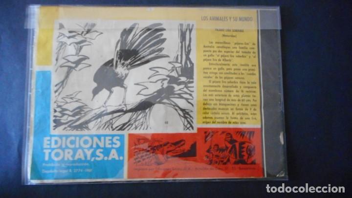 Tebeos: TAMAR N&ordm; 48 / CLAS - Foto 2