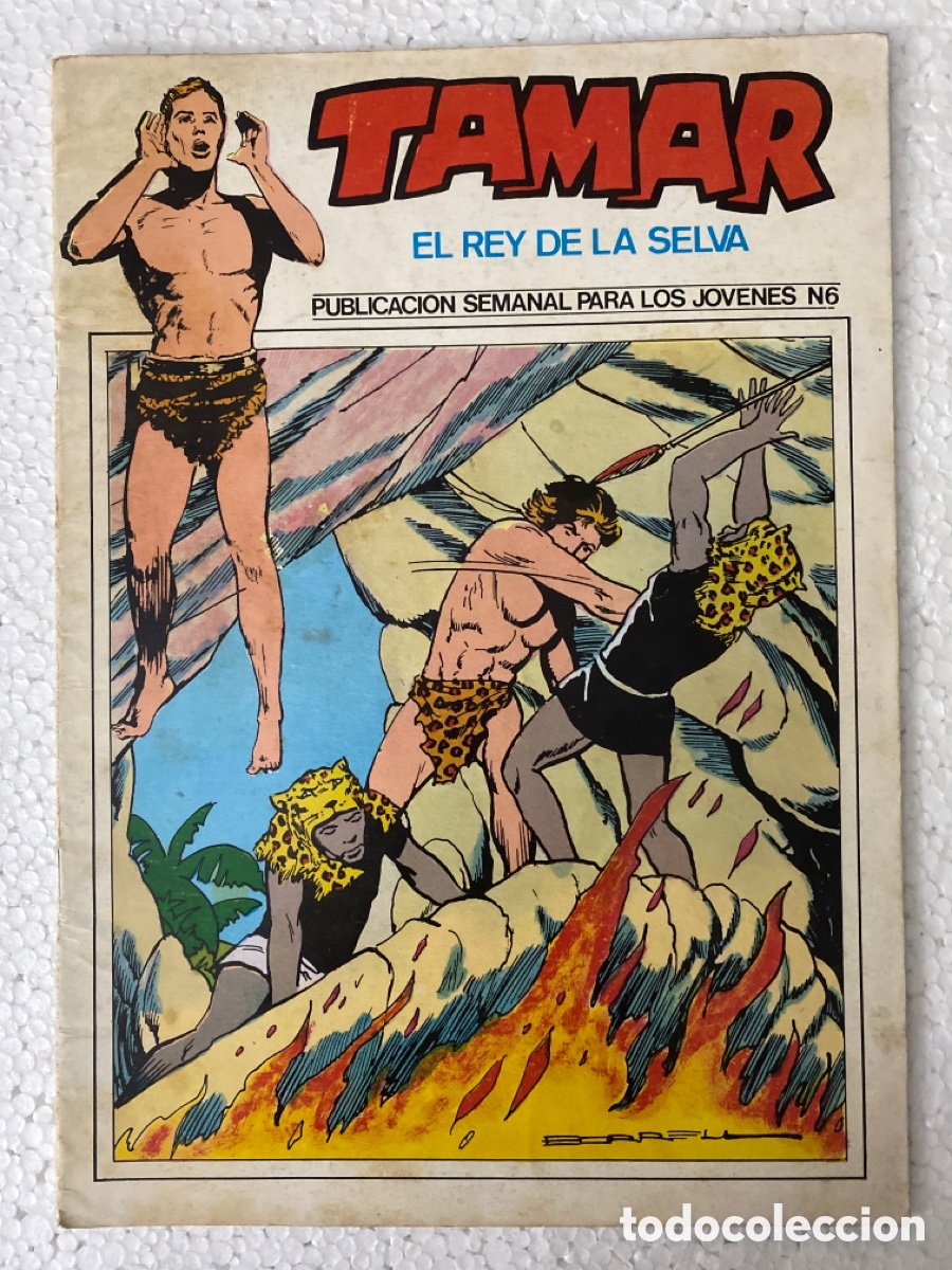 Tebeos: TAMAR #6 - TORAY - Foto 1