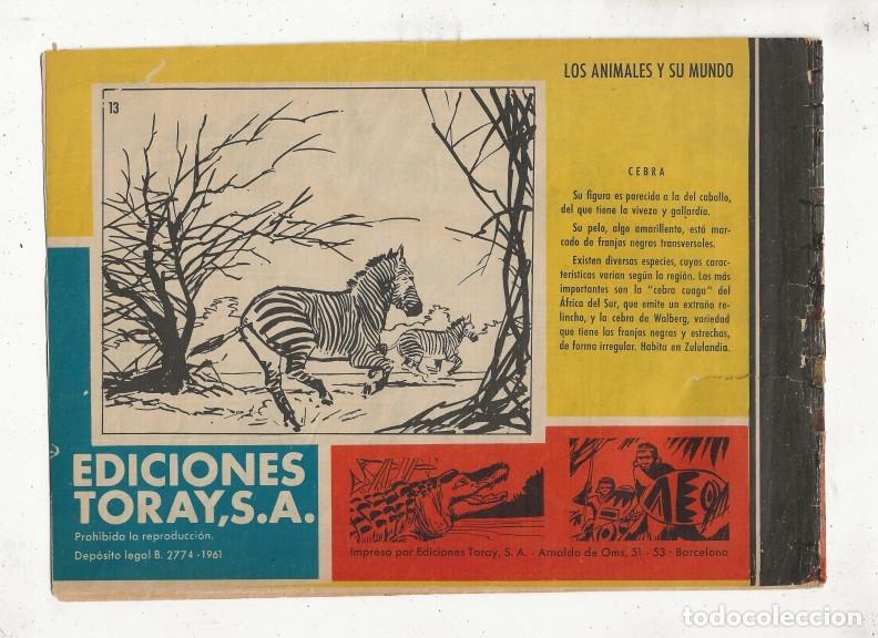 Tebeos: TAMAR N&ordm; 13 - LA ISLA DEL ESPANTO - ORIGINAL - TORAY 1961 - Foto 2