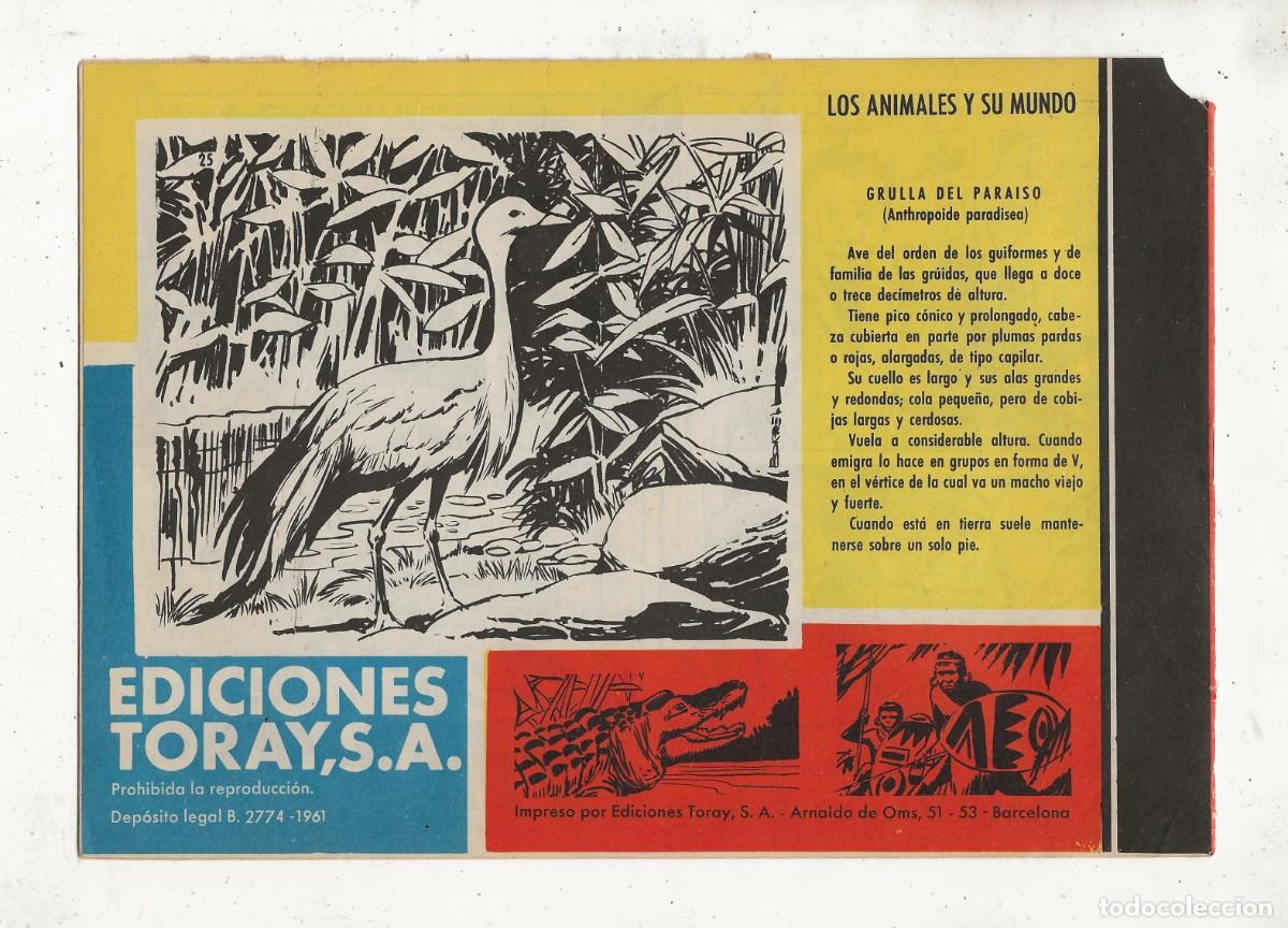 Tebeos: TAMAR N&ordm; 25 - &iexcl; CAPTURADO ! - ORIGINAL - TORAY 1961 - Foto 2