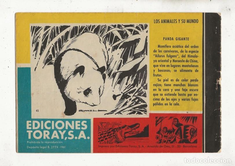Tebeos: TAMAR N&ordm; 45 - LA ESTAMPIDA DE LA PRADERA - ORIGINAL - TORAY 1961 - Foto 2