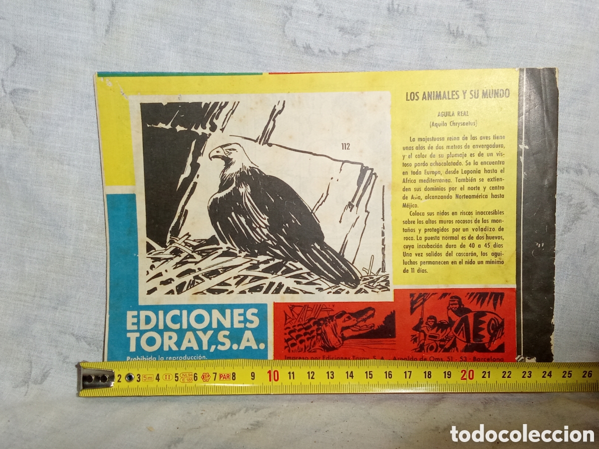 Tebeos: TAMAR EN LA SELVA SIN REY, N&deg;112. ED. TORAY - Foto 3