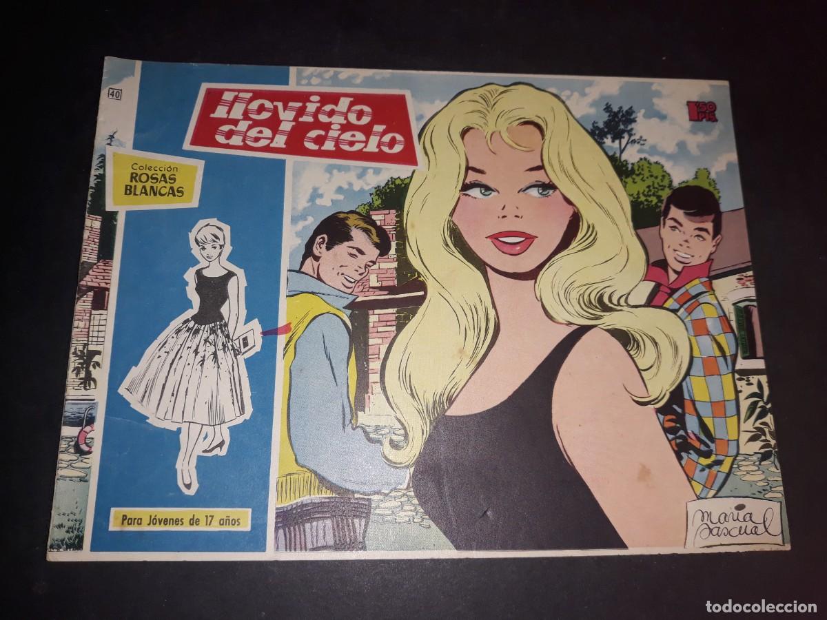 Tebeos: Colecci&oacute;n Rosas Blancas N&ordm; 40 - Foto 1