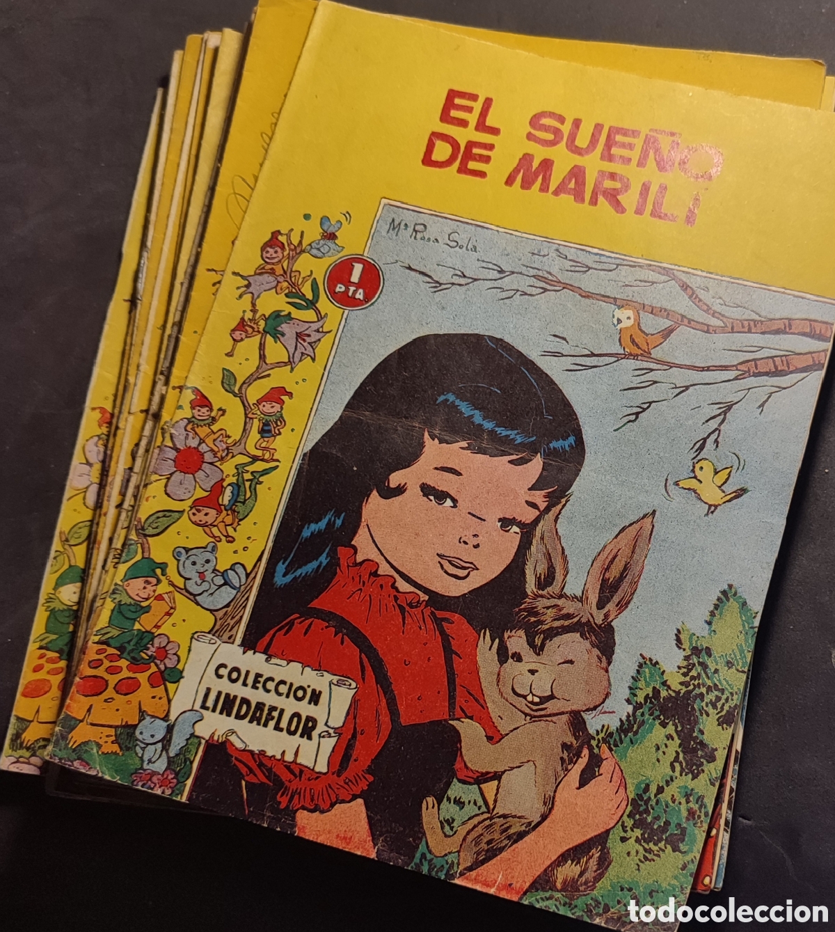 Tebeos: Lote de 22 comics de la Colecci&oacute;n Lindaflor - Foto 1