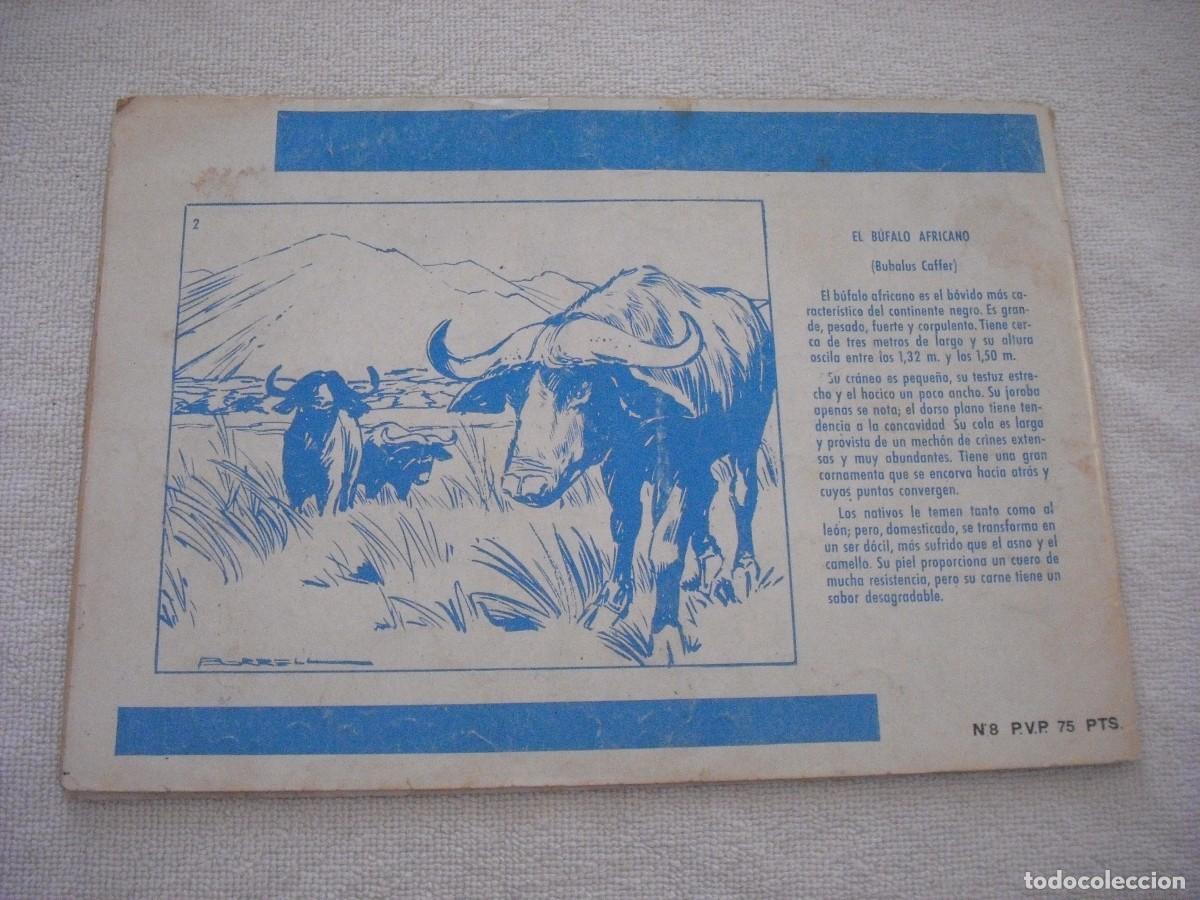 Tebeos: TAMAR N. 8. EL TORRENTE DEL DIABLO . - Foto 2