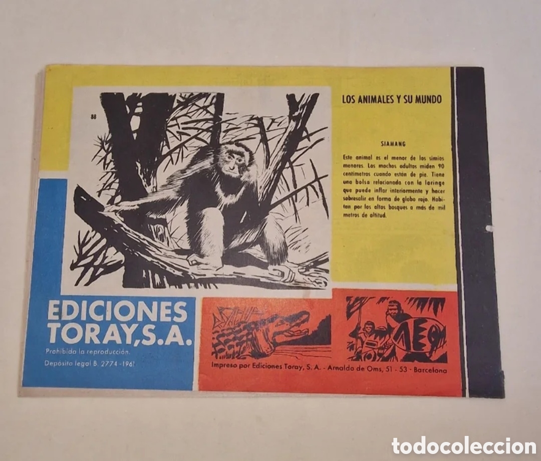 Tebeos: Tamar - Hombres de Acci&oacute;n - Foto 2