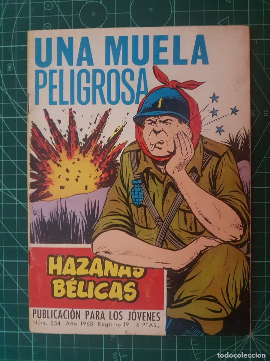 Tebeos: Haza&ntilde;as B&eacute;licas, (Gorila) N&ordm; 254, Toray. - Foto 1