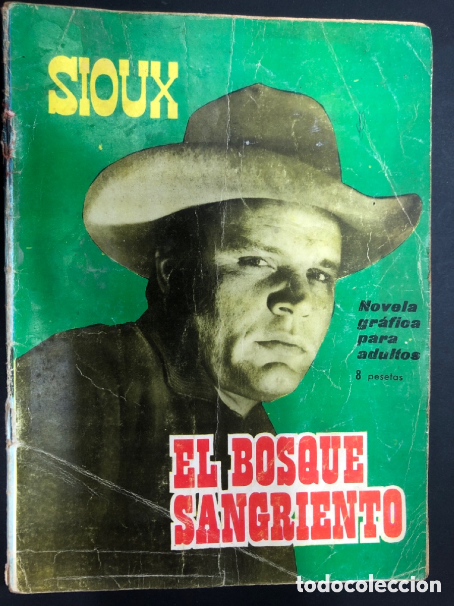 Tebeos: COMIC NOVELA GRAFICA SIOUX N&ordm; 37 EDITORIAL TORAY - Foto 1