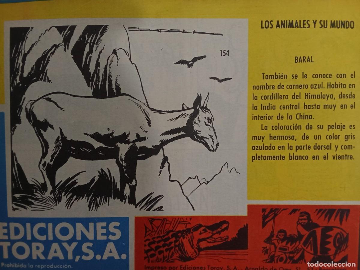 Tebeos: Comic &rdquo;Tamar&rdquo; COMPLETA. 186 n&uacute;meros. 1961-1964. Ed. Toray - Foto 15