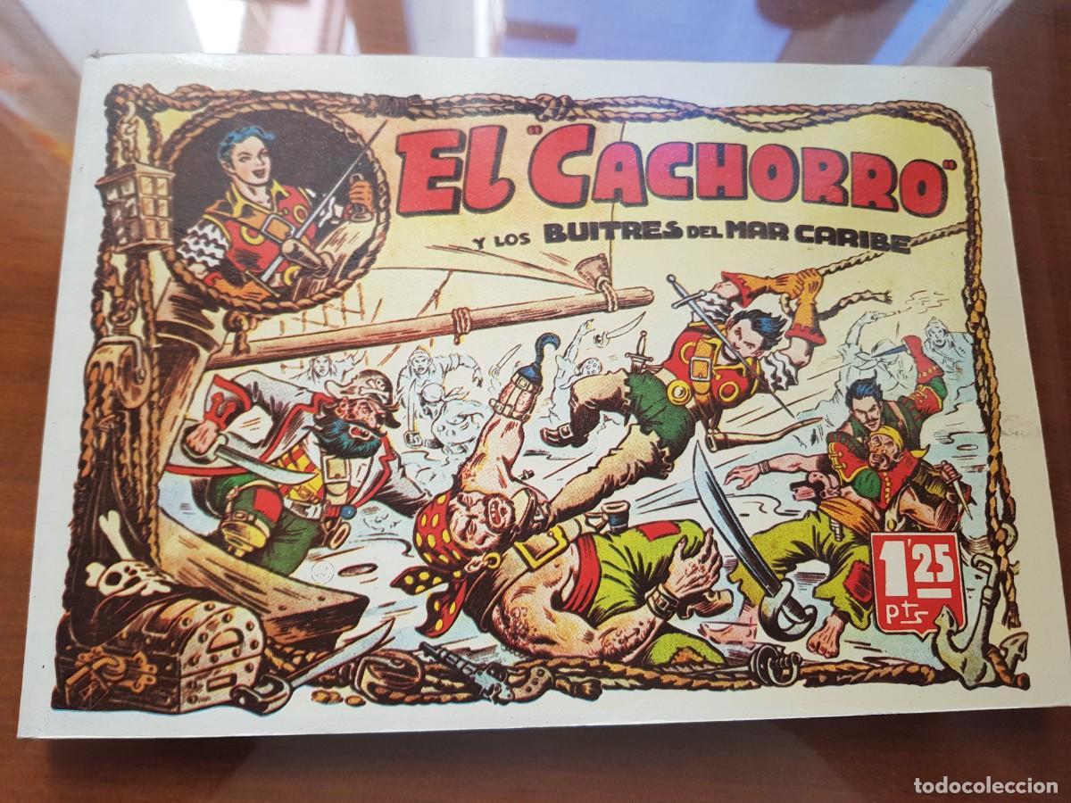 Tebeos: EL CACHORRO. EDICION IBERCOMIC. COMPLETA. PERFECTO ESTADO - Foto 4