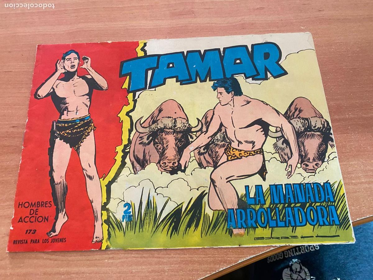 Tebeos: TAMAR N&ordm; 173 (ORIGINAL ED. TORAY ) (COB46) - Foto 1
