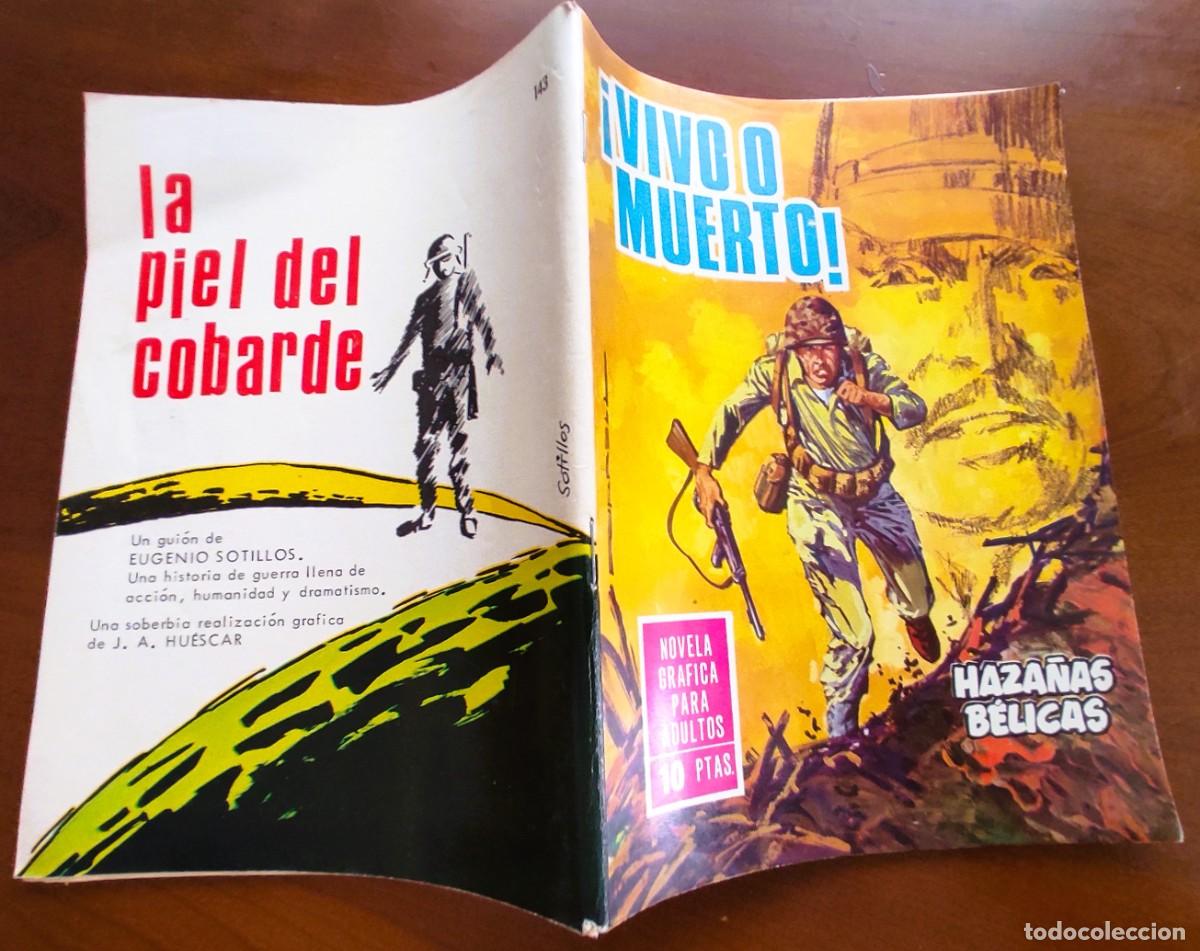 Tebeos: HAZA&Ntilde;AS B&Eacute;LICAS N&ordm; 143 - EDICIONES TORAY - VERTICAL - Foto 2