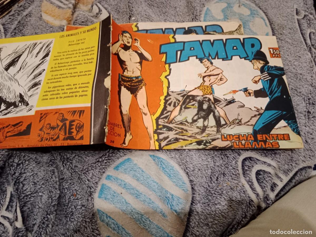 Tebeos: TAMAR N&ordm; 36 LUCHA ENTRE LLAMAS - EDICIONES TORAY 1962 - ORIGINAL