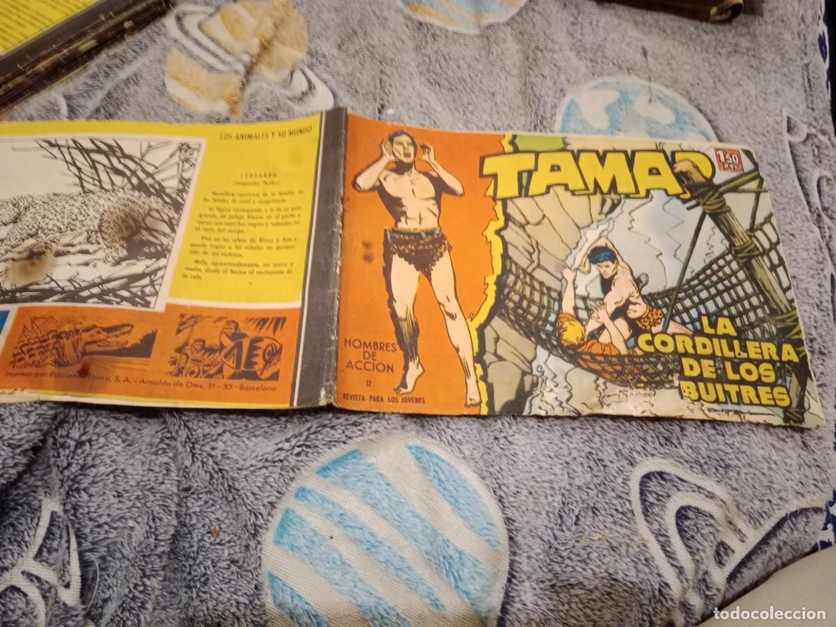 Tebeos: TAMAR N&ordm; 12 LA CORDILLERA DE LOS BUITRES - EDICIONES TORAY 1961 - ORIGINAL