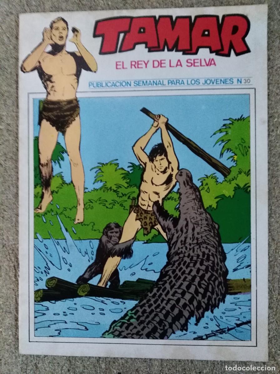 Tebeos: Tamar 30.Toray.Con Poster - Foto 1