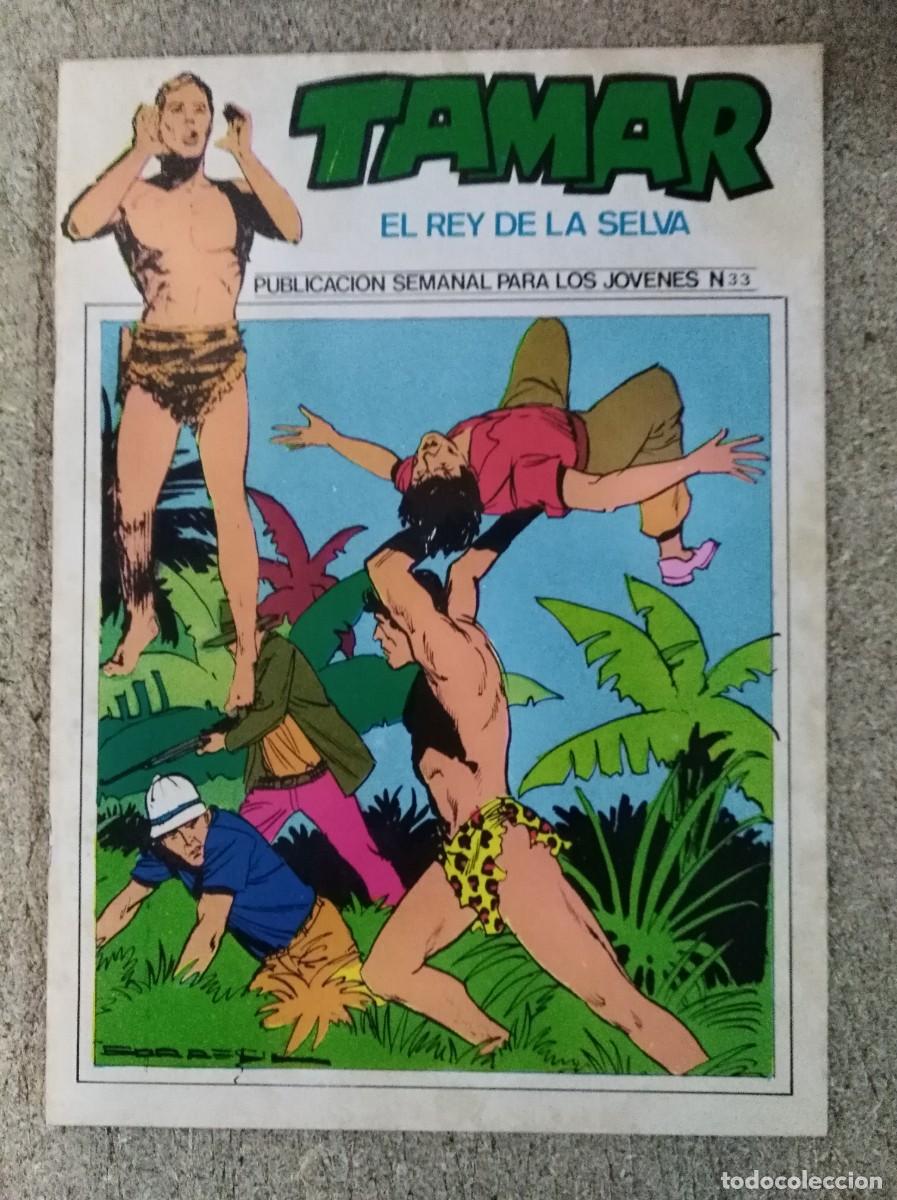 Comics: Tamar 33.Toray.Con Poster