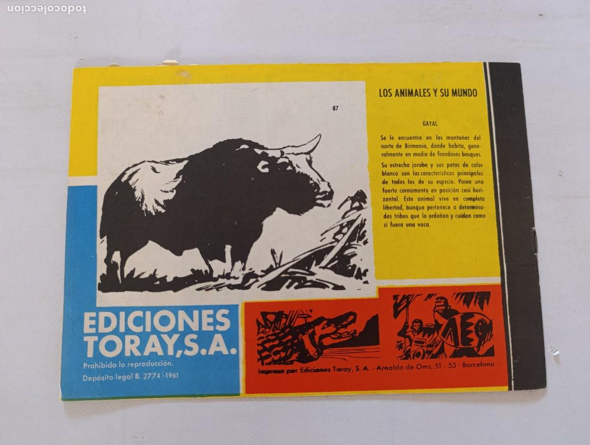 Tebeos: TAMAR N&ordm; 87 - TORAY - ORIGINAL (HV1) - Foto 4