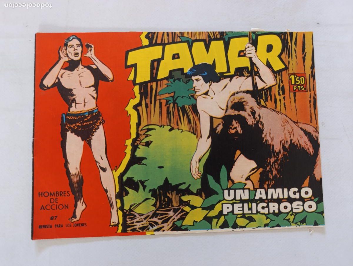 Tebeos: TAMAR N&ordm; 87 - TORAY - ORIGINAL (HV1) - Foto 1