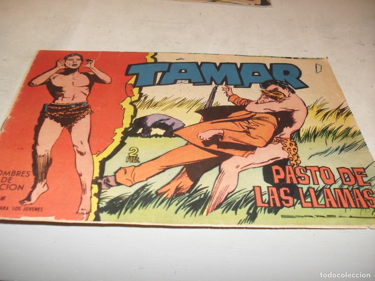 Tebeos: (ORIGINAL)TAMAR N&ordm; 179,PASTO DE LAS LLAMAS,DE 186.TORAY,1961