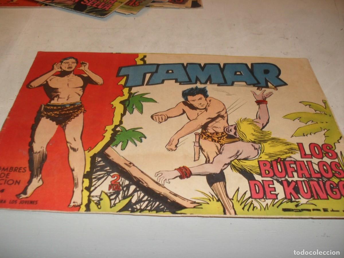 Tebeos: (ORIGINAL)TAMAR N&ordm; 174,LOS BUFALOS DE KUNGO,DE 186.TORAY,1961