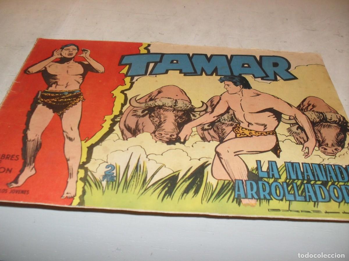 Tebeos: (ORIGINAL)TAMAR N&ordm; 173,LA MANADA ARROLLADORA,DE 186.TORAY,1961