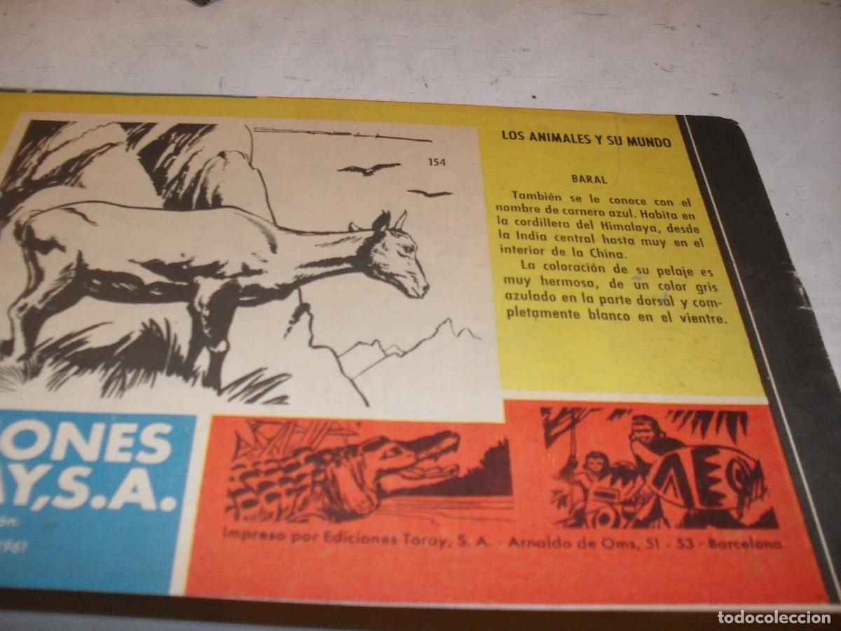 Tebeos: (ORIGINAL)TAMAR N&ordm; 154,DANDO LA ESPALDA,DE 186.TORAY,1961 - Foto 2