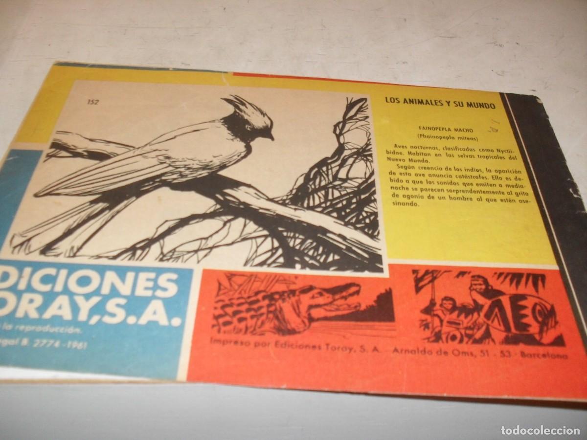 Tebeos: (ORIGINAL)TAMAR N&ordm; 152,LA REDADA,DE 186.TORAY,1961 - Foto 2