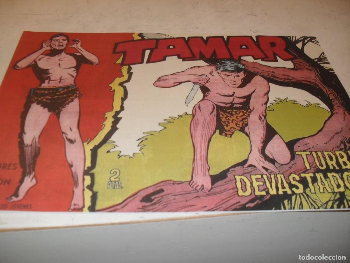 Tebeos: (FACSIMILL)TAMAR N&ordm; 146,TURBA DEVASTADORA,DE 186.TORAY,1961