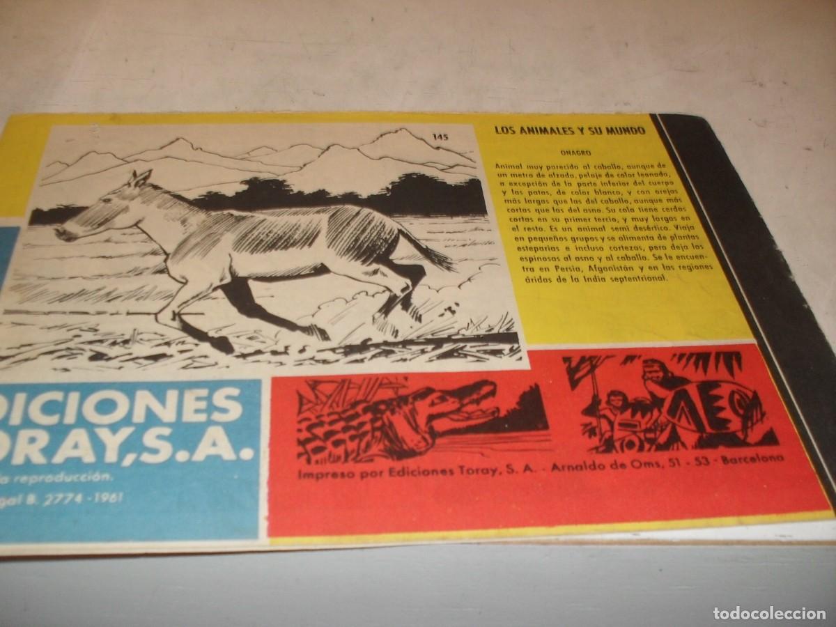 Tebeos: ORIGINAL)TAMAR N&ordm; 145.ESTAMPIDA&iexcl;&iexcl;,DE 186.TORAY,1961 - Foto 2