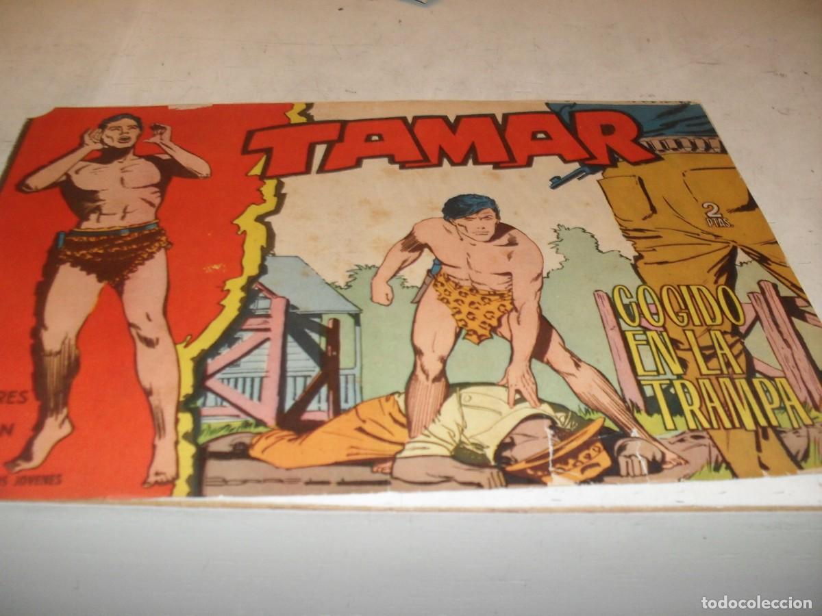 Tebeos: (ORIGINAL)TAMAR N&ordm; 132,COGIDO EN LA TRAMPA,DE 186.TORAY,1961