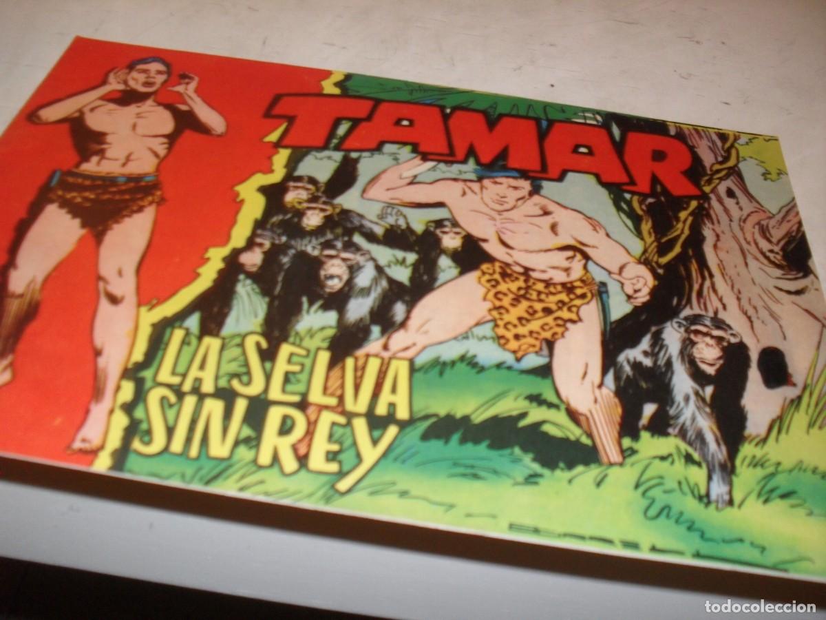 Tebeos: (ORIGINAL)TAMAR N&ordm; 112.LA SELVA SIN REY,DE 186.TORAY,1961