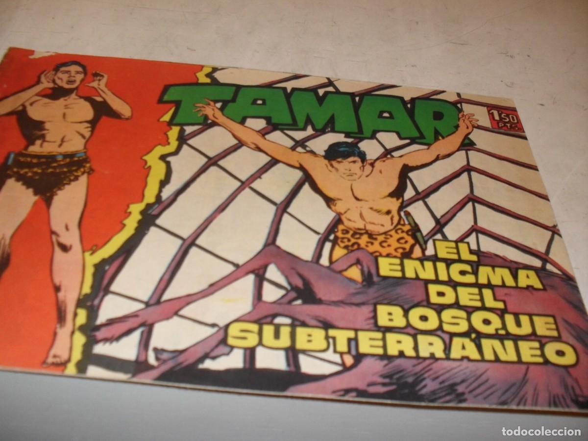 Tebeos: (ORIGINAL)TAMAR N&ordm; 80,EL ENIGMA DEL BOSQUE SUBTERRANEO,DE 186.TORAY,1961
