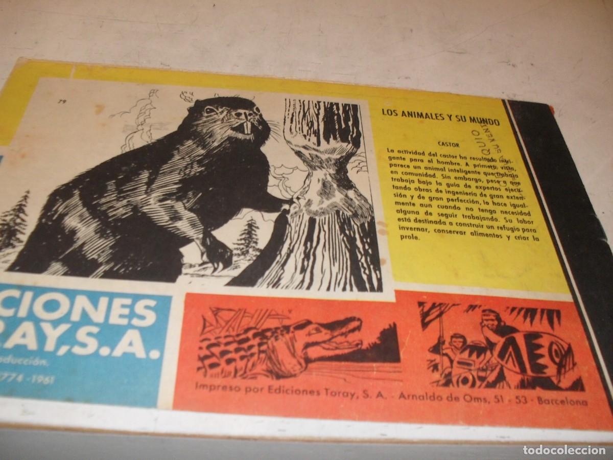 Tebeos: (ORIGINAL)TAMAR N&ordm; 79,LOS CAVERNICOLAS,DE 186.TORAY,1961 - Foto 2