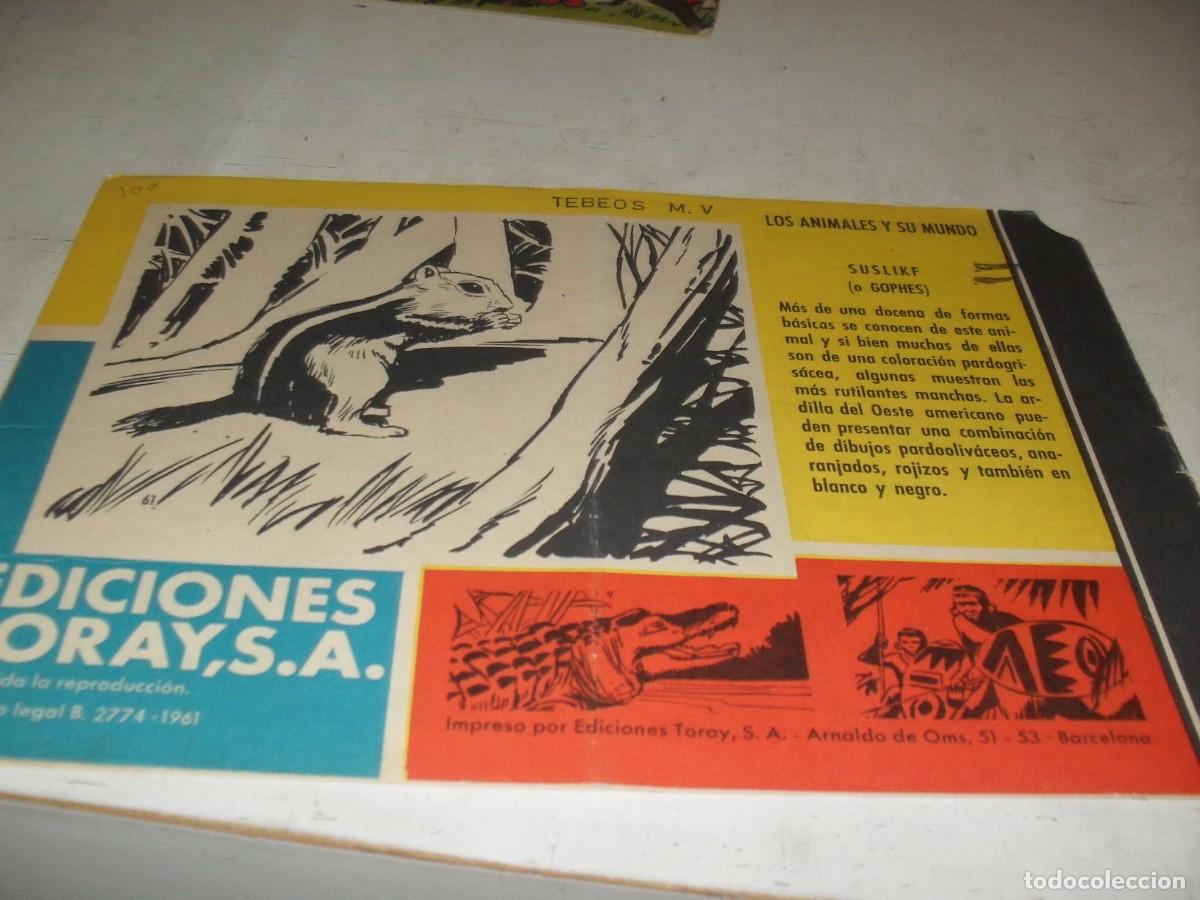 Tebeos: (ORIGINAL)TAMAR N&ordm; 61,EL PODER DEL HOMBRE BLANCO,DE 186.TORAY,1961 - Foto 2